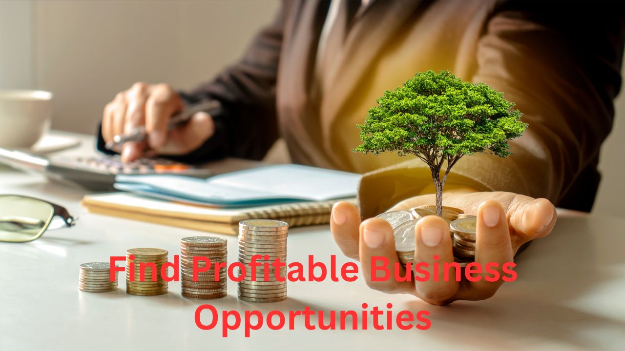 How to Find Profitable Business Opportunities A Practical Guide to Smart Entrepreneurship